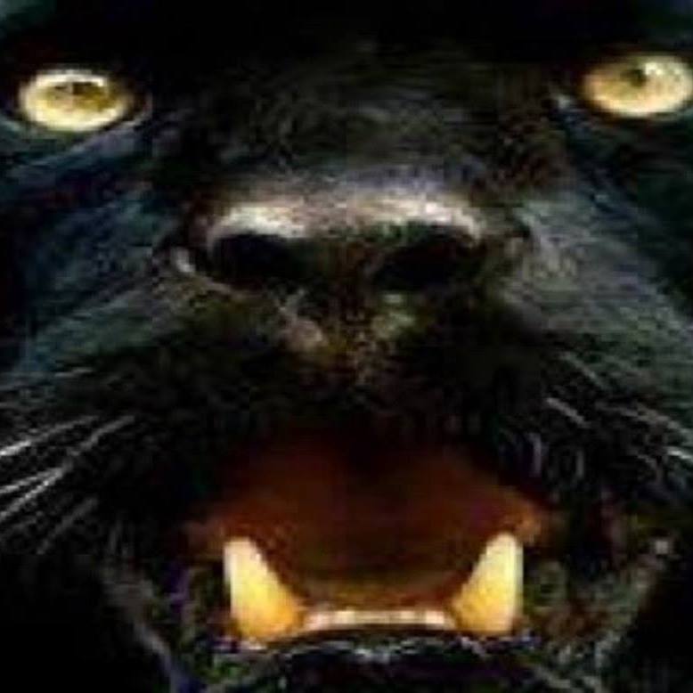 HBC Panthers Hrabůvka